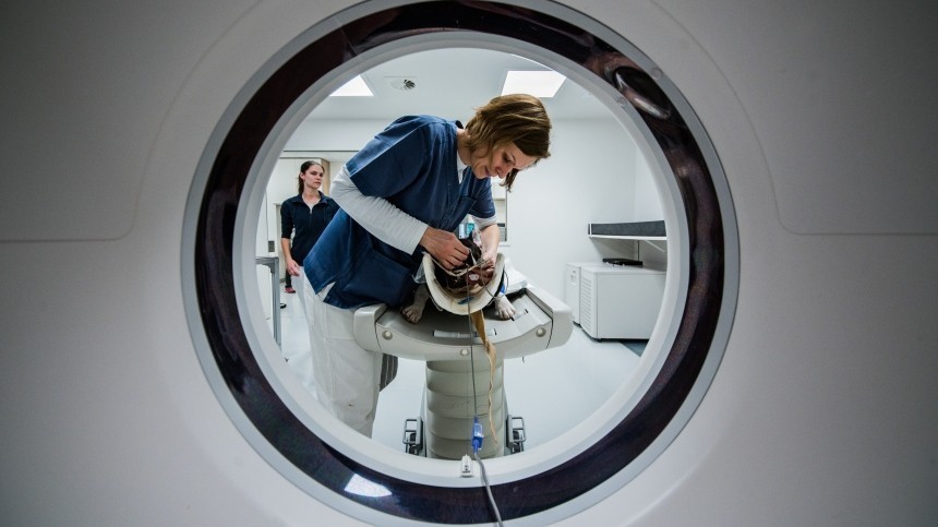  ���� ����������� �������� 