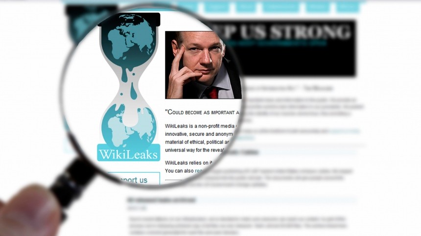  wikileaks       