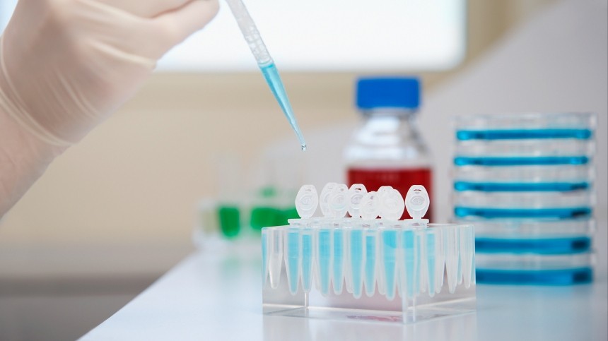  ������� ������ ������������ ������ ��������� �������� 2021 