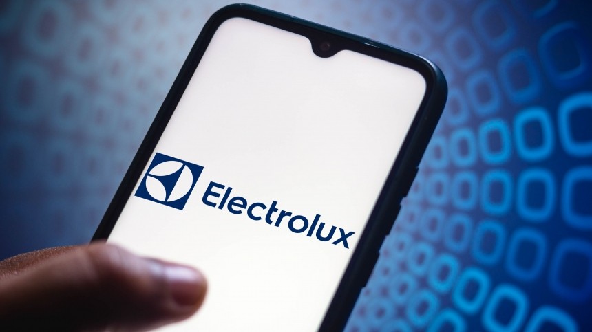  electrolux professional     