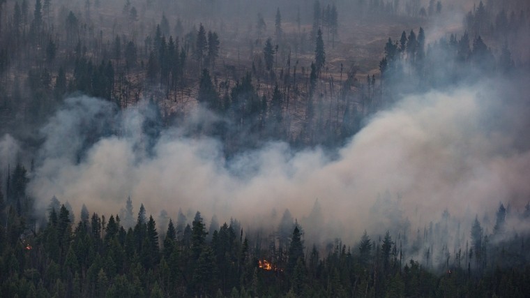 Видео: Приморье окутали лесные пожары