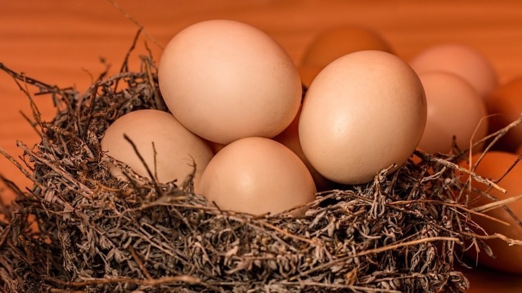 Польза и вред куриных яиц — эксперт о самом распространенном продукте в рационе россиян