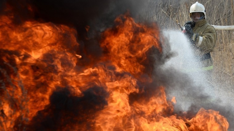 Столбы огня и дыма: В Приморье вспыхнул крупный пожар — видео