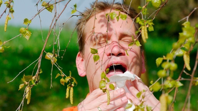 Медики предупреждают: Весенняя аллергия в этом году начнется раньше