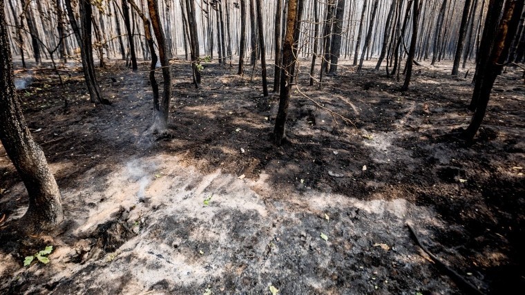 Как Забайкальский край борется с охватившими регион пожарами — репортаж с места