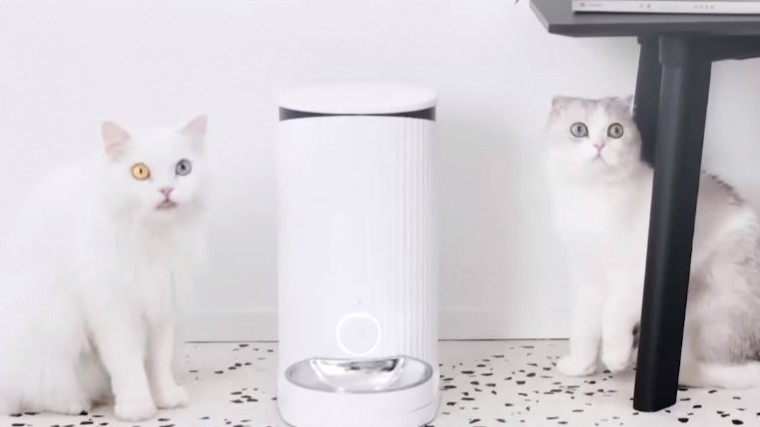 Xiaomi создала «умную» кормушку для кошек и собак