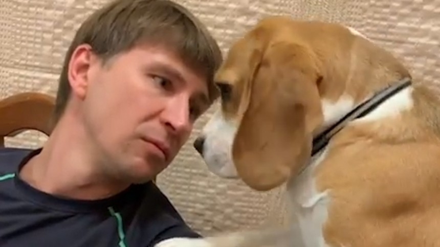 «Понять и простить!» Фанаты заступились за нашкодившую собаку Ягудина — видео
