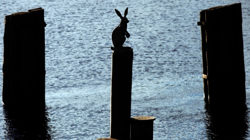 Кто и зачем хочет взять под опеку скульптуру знаменитого зайца у Петропавловской крепости