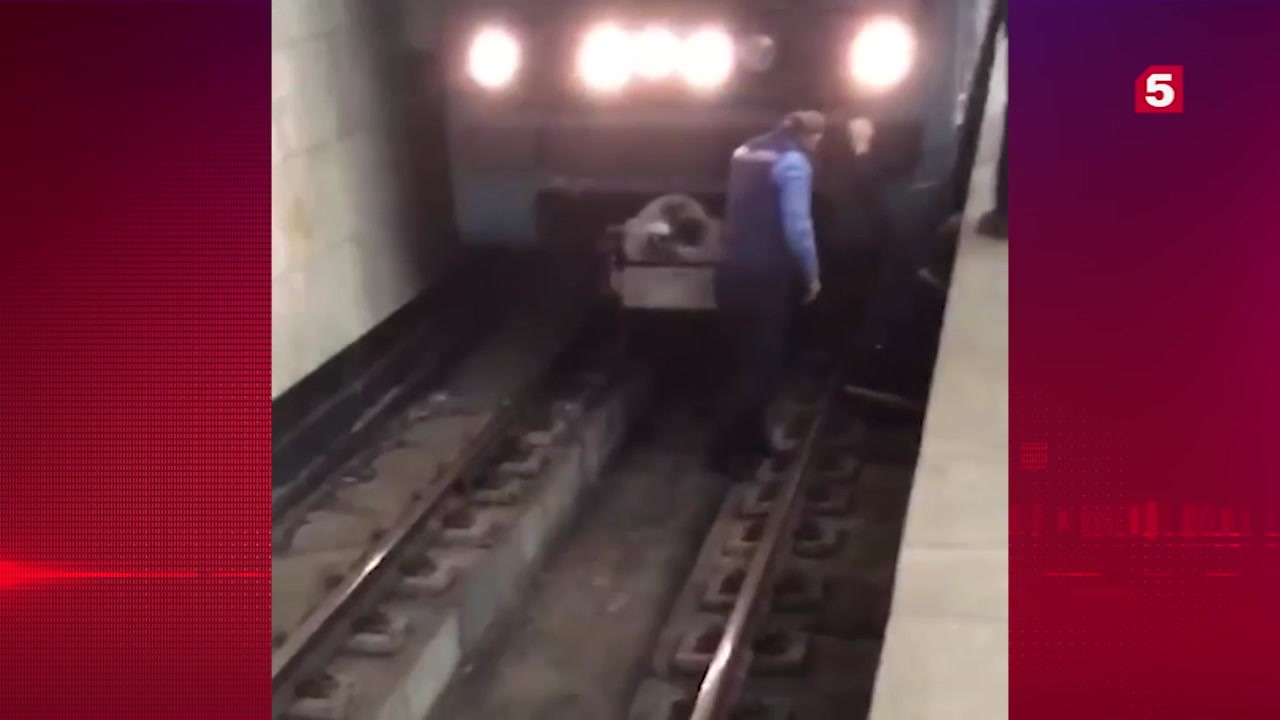 Мужчина столкнул девушку в метро. В Москве упал человек на рельсы метро. Человек упал на рельсы в метро.
