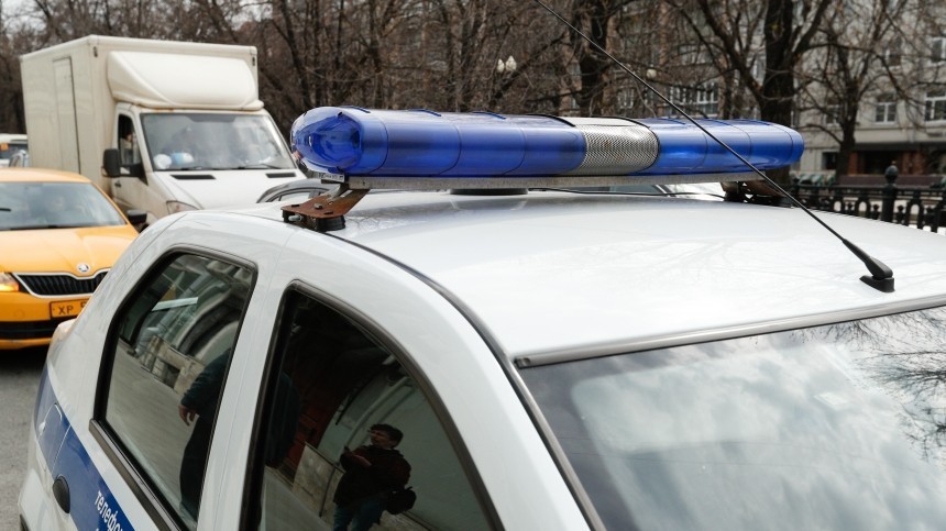 Подпольный автосалон с похищенными иномарками обнаружен в Ленобласти