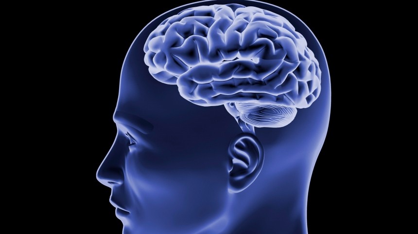 Ученые США и Японии отчитались о создании искусственного мозга