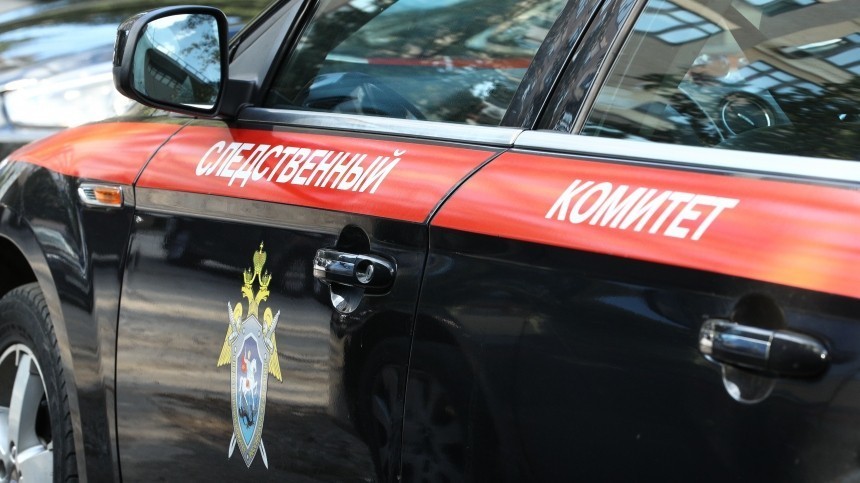 СК проверит информацию о школьнике, ударившем учительницу в Псковской области