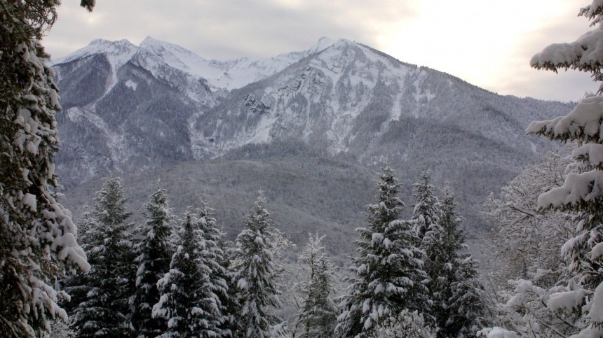 Сотрудники МЧС спасли повредившую ногу туристку в горах Сочи