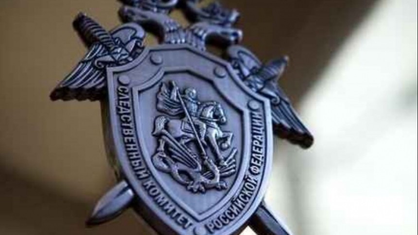 СК возбудил уголовное дело по факту жестокого избиения ребенка матерью в Новороссийске