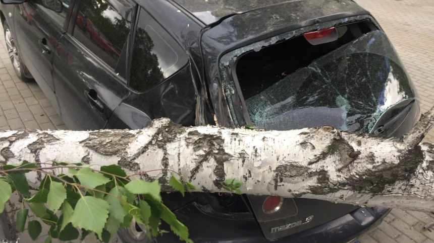 Сорванные крыши, поваленные деревья и башенные краны: мощный ураган обрушился на Екатеринбург