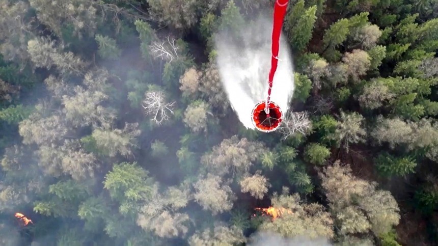 Российская военная авиация будет задействована в тушении лесных пожаров