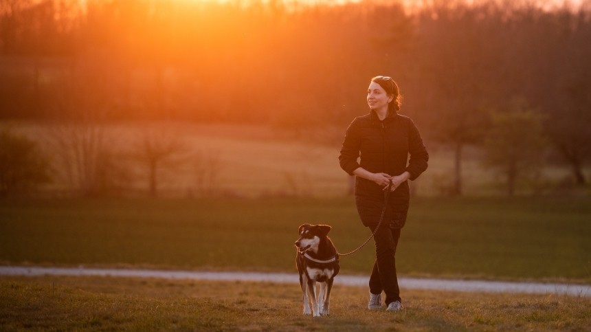Как правильно выходить из самоизоляции владельцам собак? — советы кинологов