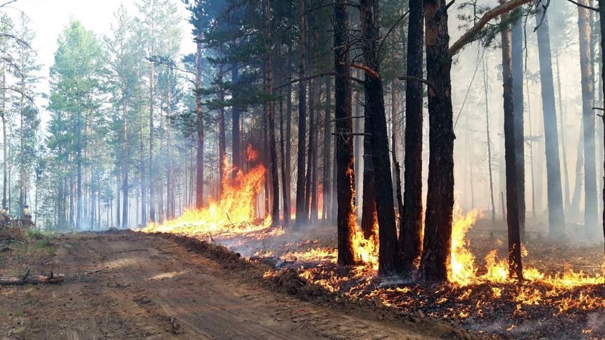 Лесные пожары в Якутии угрожают спалить несколько поселков — огненное видео