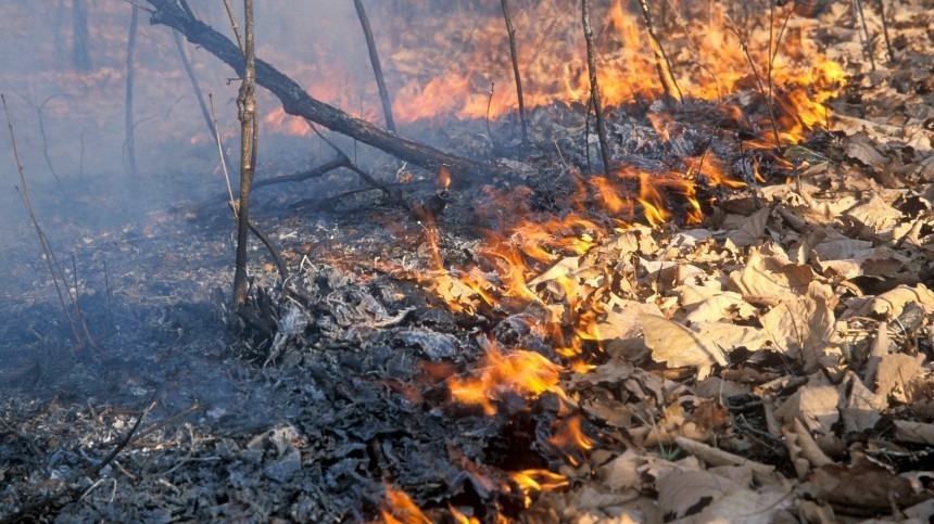 Парашютисты-десантники высаживаются в самое пекло горящих лесов в Якутии