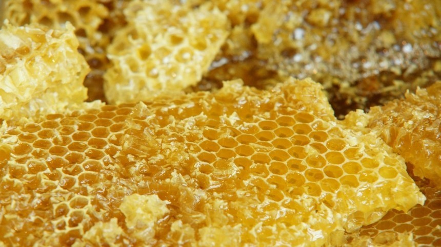 О полезных для здоровья свойствах пчелиного продукта рассказал кандидат биологических наук Михаил Лущик.