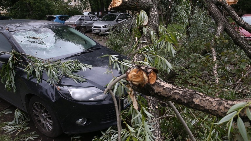 Деревья как снаряды: мощный ураган ударил по Москве и Подмосковью