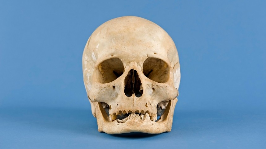 В Ленобласти обнаружили расчлененный скелет человека