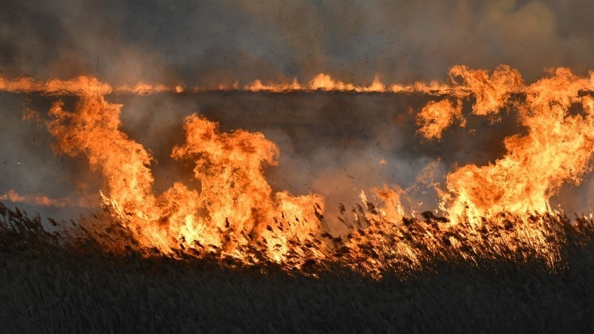 Степные пожары в Омской области вплотную подошли к жилым домам