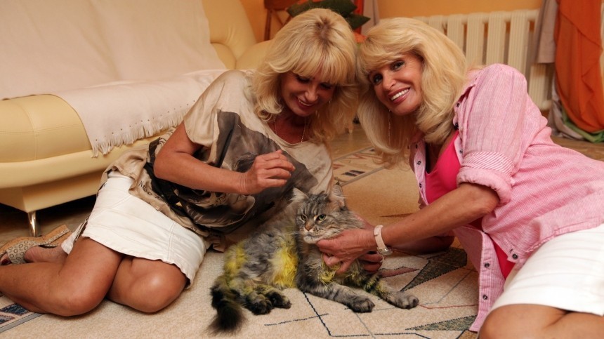 Сестры Зайцевы остались без любимого кота из-за ошибки элитной ветклиники