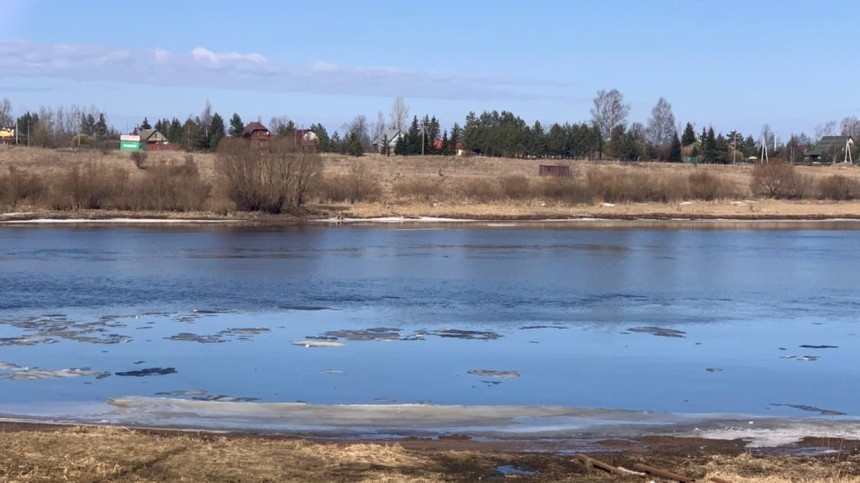 Роспотребнадзор назвал возможный источник загрязнения реки Волхов в Новгороде