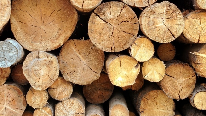 Чем деревянный дом лучше кирпичного — объясняет плотник из Чухломы