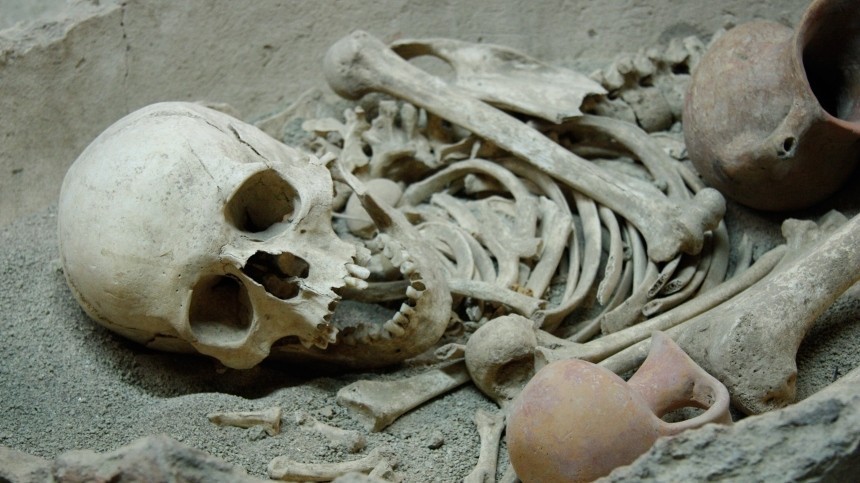 Эксклюзивные кадры: груду черепов и костей нашли на стройке в Ленобласти