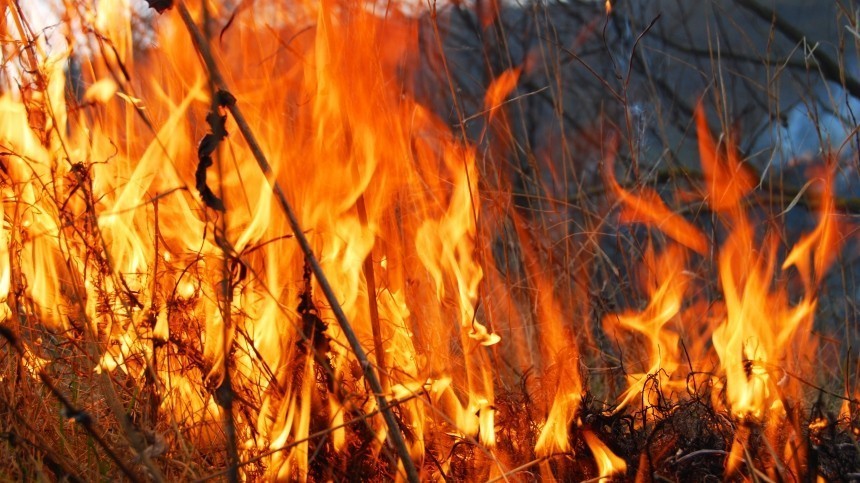 Огненная блокада: Тюмень оказалась в плену масштабных природных пожаров