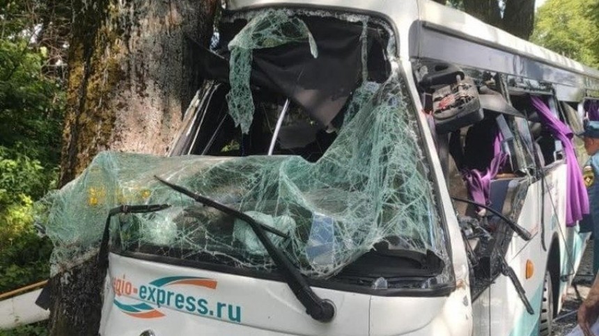 В Калиниградской области полный пассажиров автобус врезался в дерево — фото