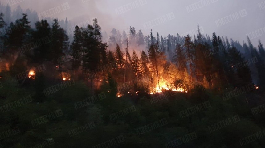 Видео: Огонь от лесных пожаров в Якутии подошел вплотную к многоквартирным домам