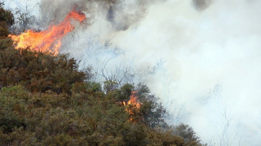 Тушат пожарные, тушат военные: борьба с лесными возгораниями продолжается в Якутии
