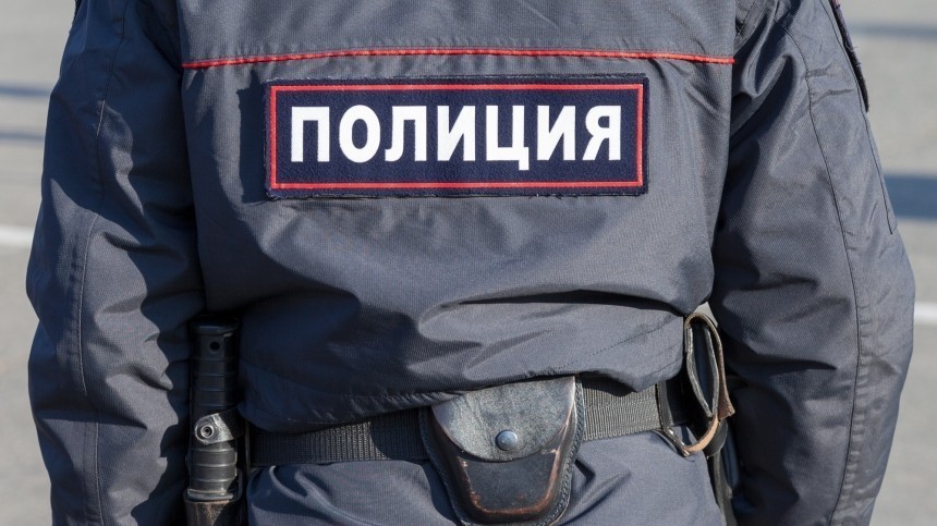 СК проверит информацию о драке женщины с полицейскими в Москве