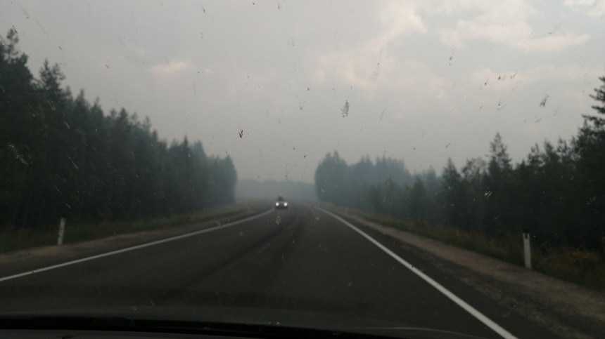 Трассу «Кола» перекрыли в Карелии из-за лесных пожаров — видео