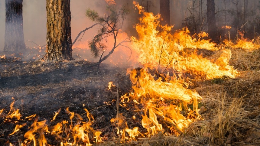 Из-за лесных пожаров эвакуированы жители двух сел в Якутии