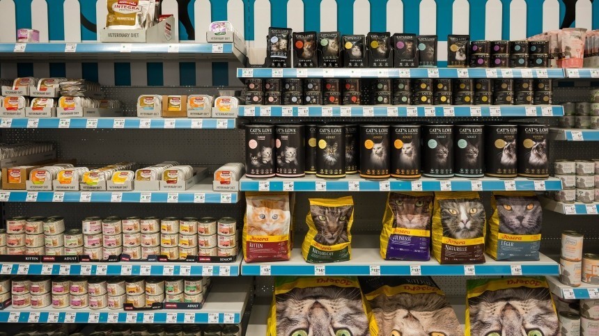 Хозяева в панике: Почему из магазинов исчез импортный корм для питомцев