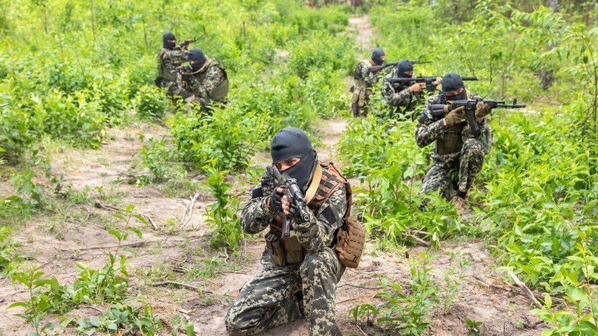 ВСУ попытались начать наступление в Запорожской области