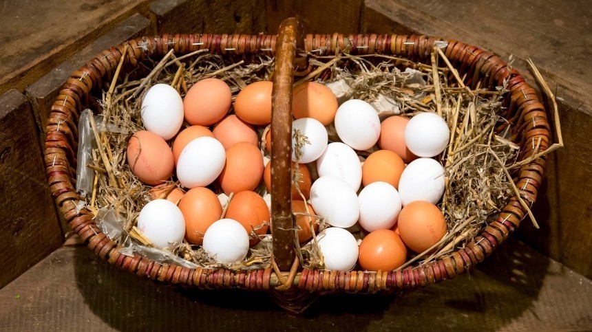 Они убивают: кому и почему опасно есть яйца в больших количествах