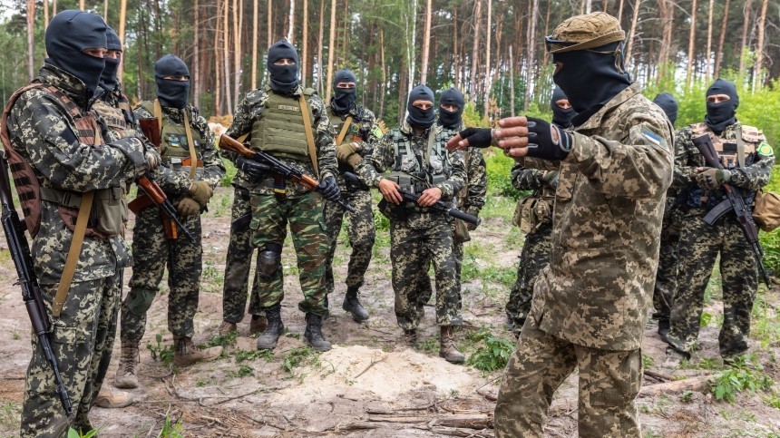 Лавров заявил, что украинскими силами руководят инструкторы НАТО