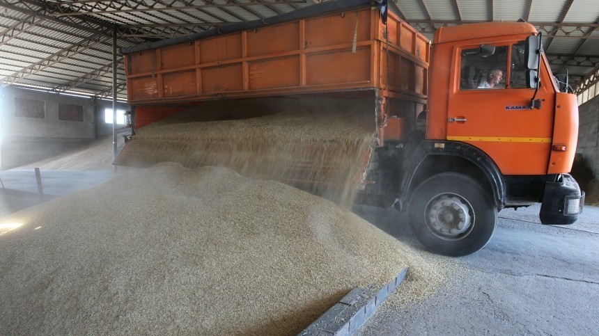 Минсельхоз России допустил пересмотр планов по экспорту зерна