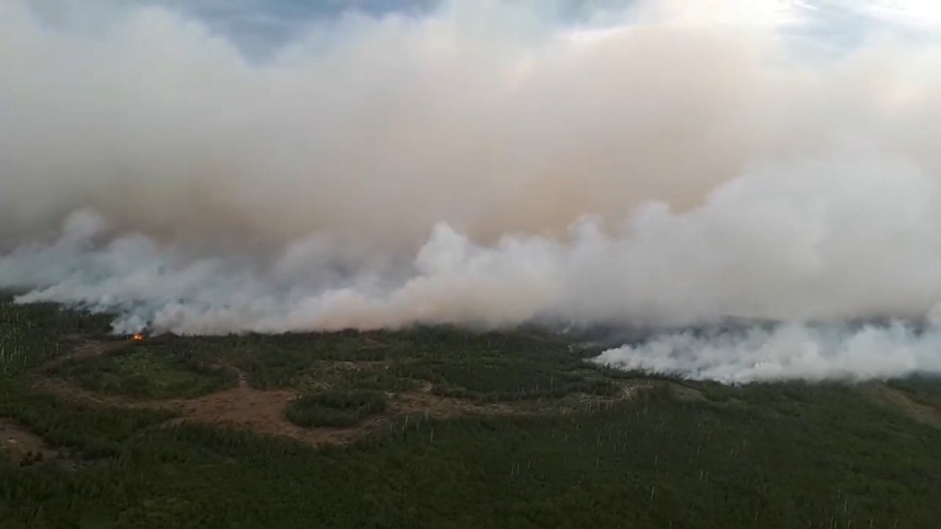 Полоса дыма закрывает горизонт: как МЧС тушит пожары в Рязанской области