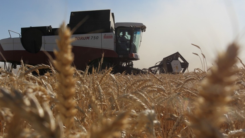 Эрдоган и Путин обсудят реализацию зерновой сделки