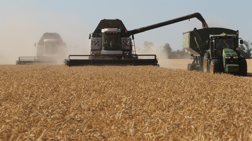 Совершенно безвозмездно: кому Россия повезет 500 тысяч тонн зерна