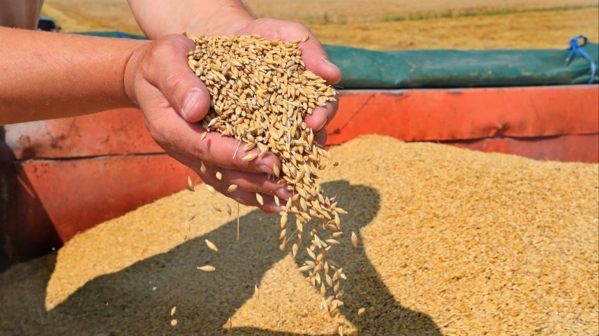 Россия получила гарантии безопасности от Украины и возобновила зерновую сделку