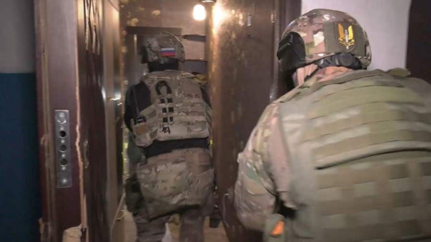 Задержаны диверсанты, планировавшие теракт на подстанции в Бердянске