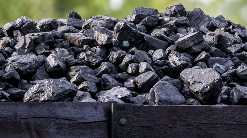 Тепло в каждый дом: в Запорожской области начали выдавать уголь по льготам