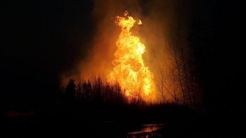 Названа причина взрыва на газопроводе в Ленинградской области